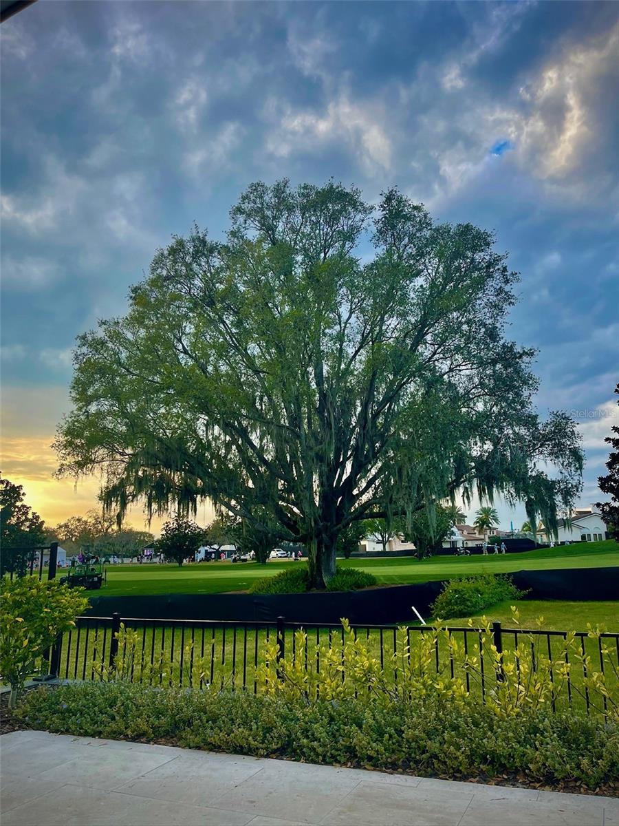 BAY HILL SEC 02 - Residential