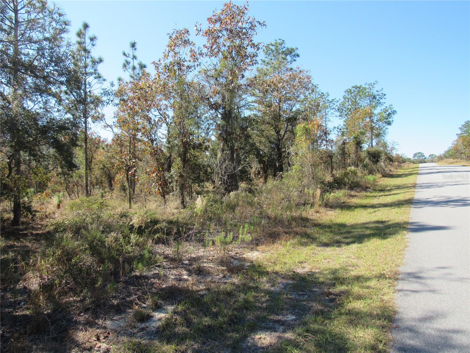 Beautiful One-Acre (.99) New Construction Build Site Available In Lovely Rainbow Lakes Estates Community. Perfect Opportunity For You To Build Your Florida Dream Home Now Or Purchase and Hold. Rainbow Lakes Estates Is an Outdoorsman Paradise and Located On the Nature Coast of Florida Conveniently Located Within 20-40 Minutes Circle To Crystal River & The Gulf of Mexico, Inverness, Ocala & Gainesville For Extended Shopping, Dining & The Best of Entertainment! Rainbow Lakes Estates Where This Property Is Located Is an Established Popular Community With New and Existing Homes and Vacant Land Sites For New Construction and Is Just Minutes To Historic Dunnellon, Our Local Town Square Built Around The Famous Rainbow and Withlacoochee Rivers Plus; In Just Minutes, Cast a Line on Lake Rousseau, Popular Fishing Capitol For The Large-Mouth Bass! This Property is just a few minutes Drive To The Award Winning Rainbow Springs State Park Where the Famous Rainbow River Begins, Providing Swimming, Snorkeling, Kayaking, Nature Trails, Canoeing + More..Also Centrally Located To Halpata Tastanaki Nature Preserve and The Goethe State Forest Plus Just 25 Minutes To The New World Equestrian Center Located In Ocala, FL. Hike the Many Fabulous Trail-Heads Of The Magnificent Florida Greenway that Runs Right Through Dunnellon!! Private Boat Ramp Available For Rainbow Lakes Estates Residents on Tiger Lake + Paved Roads, R-1 Site Built Homes, No HOA Fee. Call Now and Secure This Beautiful One-Acre (.99) New Build Site For Your Florida Dream Home In This Amazing Slice Of Paradise In The Sunny Part of What We Call "Old Florida"!!