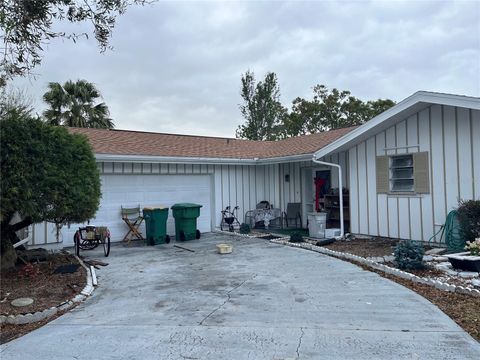 A home in PUNTA GORDA