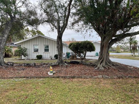 A home in PUNTA GORDA