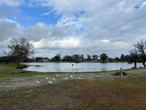 A home in PUNTA GORDA