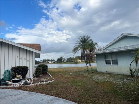 A home in PUNTA GORDA