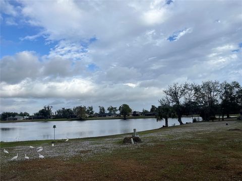 A home in PUNTA GORDA