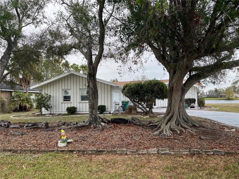 A home in PUNTA GORDA