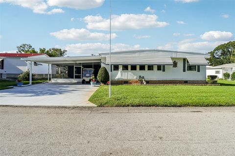  MOUNT DORA FL 32757