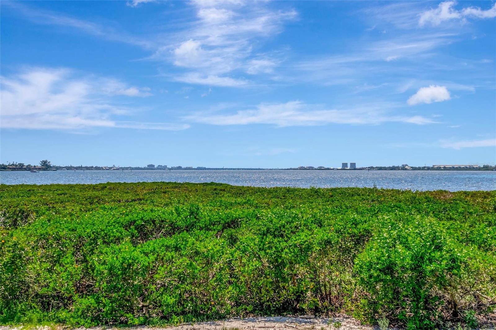 TIDEWATER PRESERVE - Residential