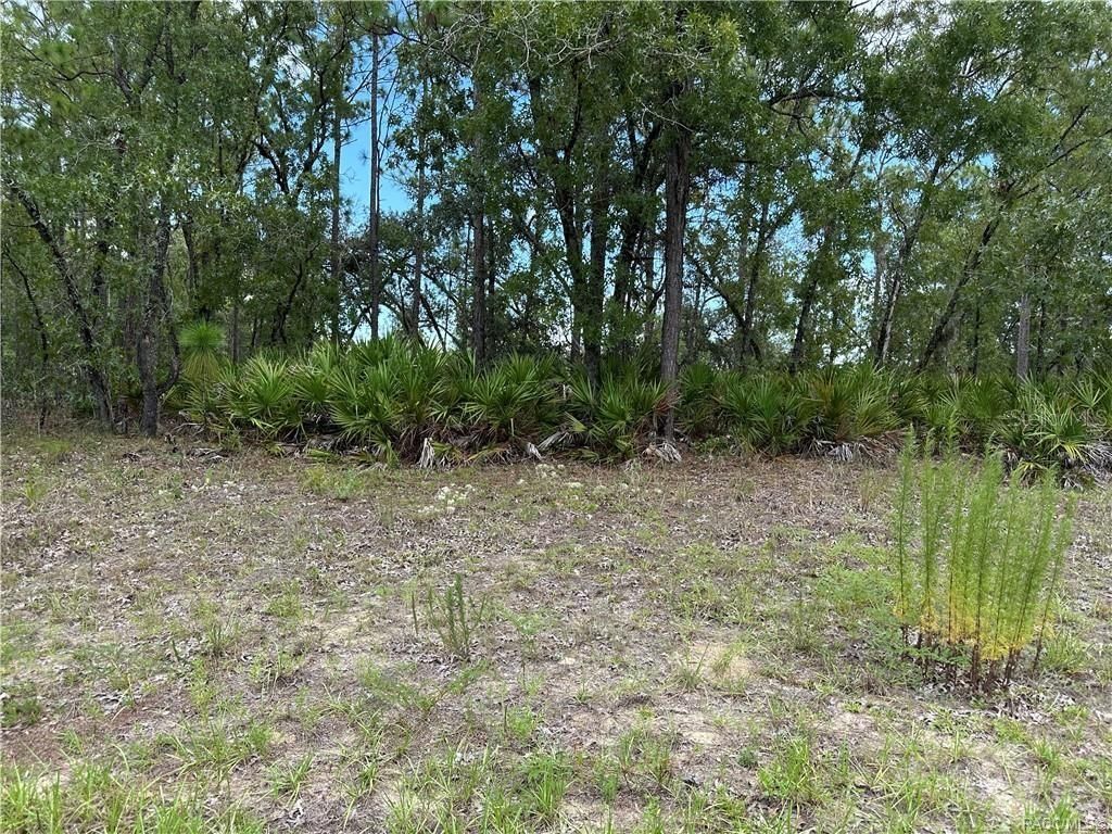 Photo of 1195 W Hampshire Boulevard, Citrus Springs, FL 34434 (MLS # W7878099)