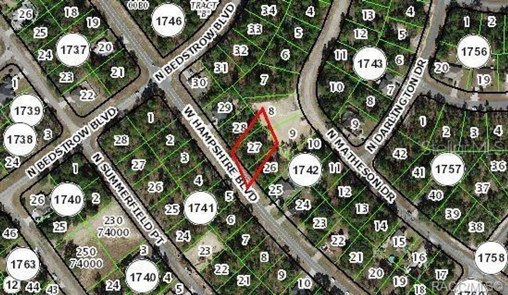 Photo of 1195 W Hampshire Boulevard, Citrus Springs, FL 34434 (MLS # W7878099)