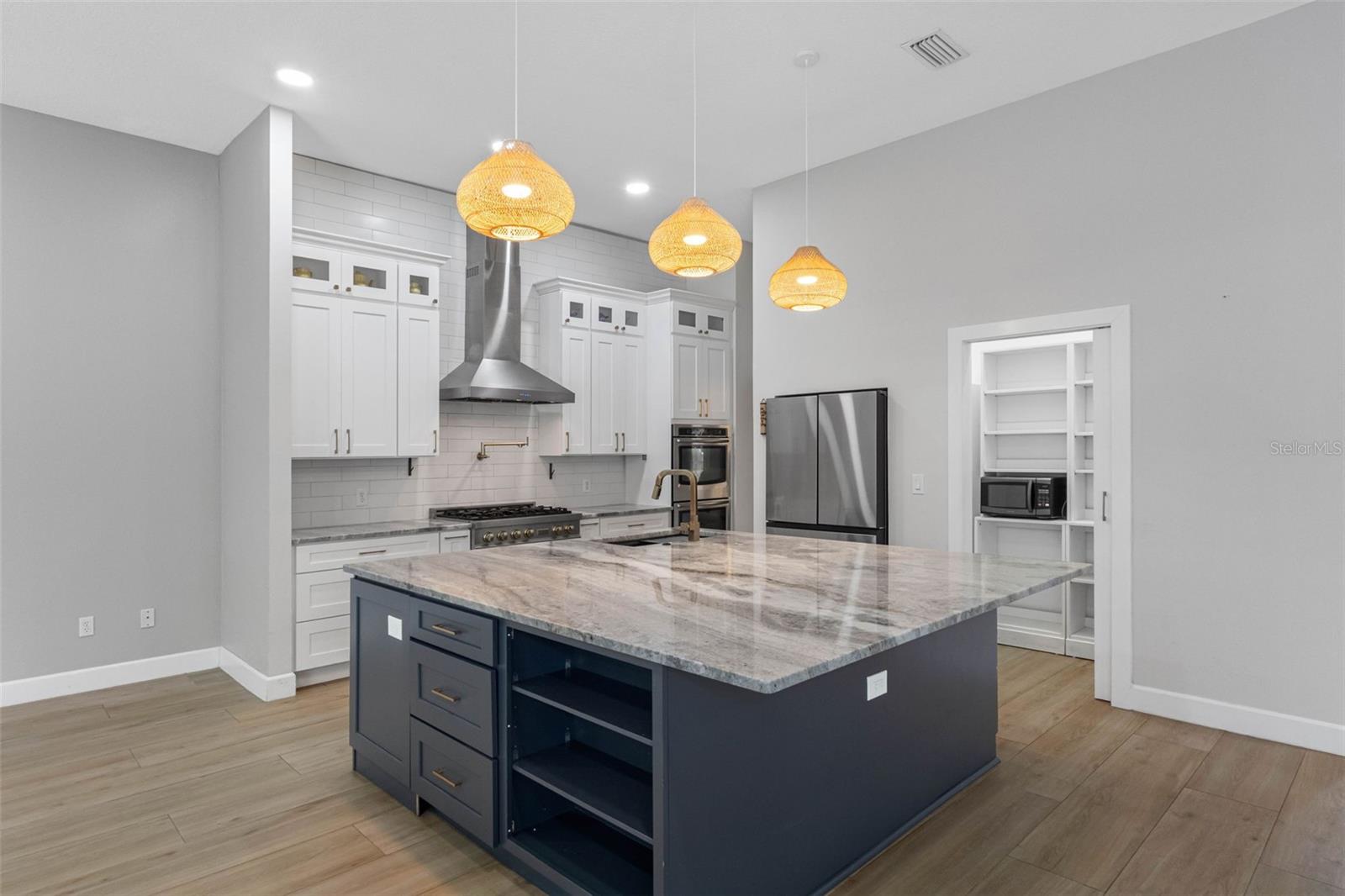 16750 IVY LAKE DRIVE