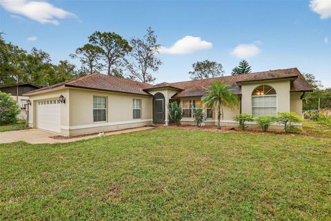 40416 W 9TH AVENUE UMATILLA FL 32784