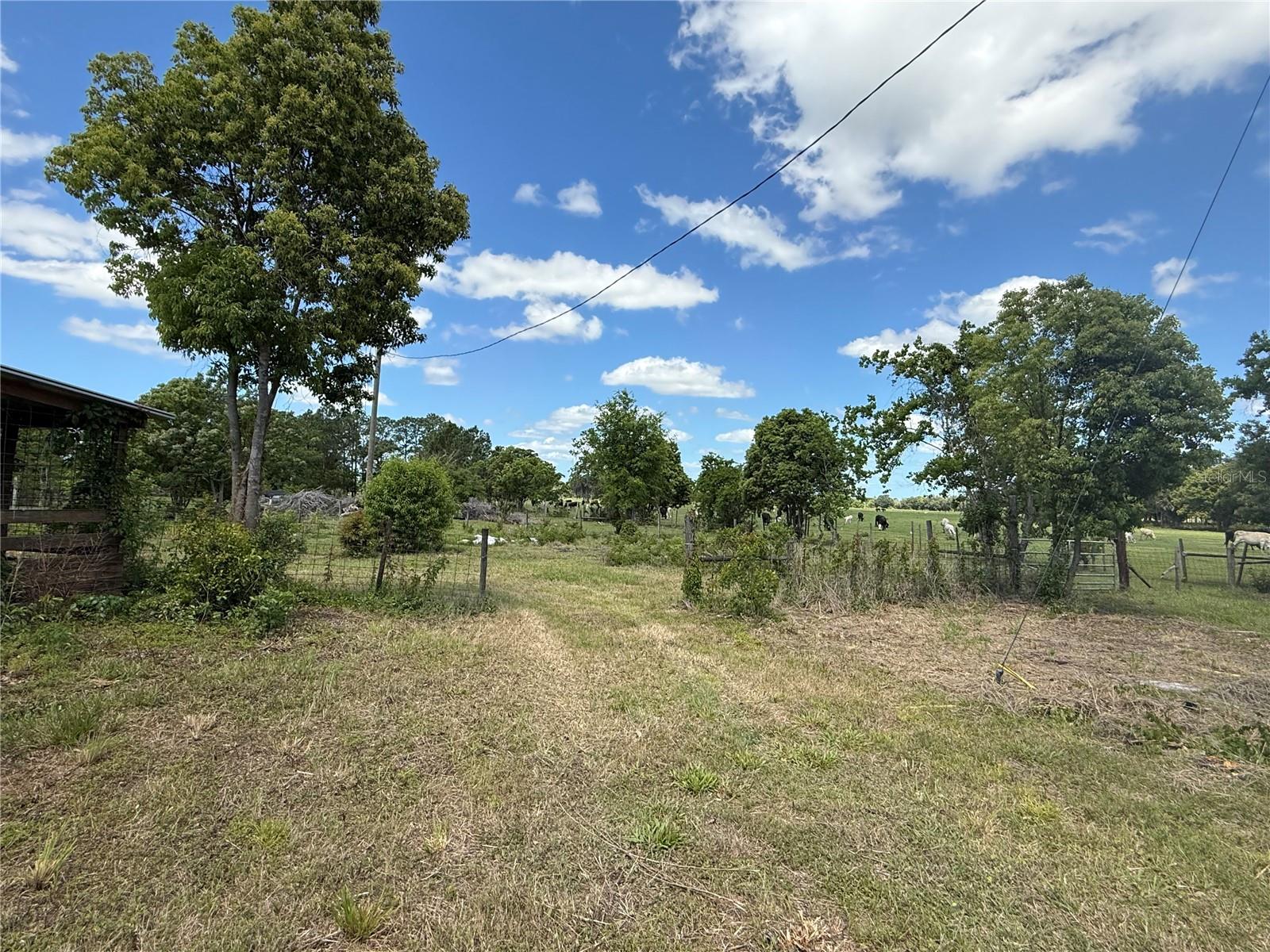 15816 MULLINS BOULEVARD