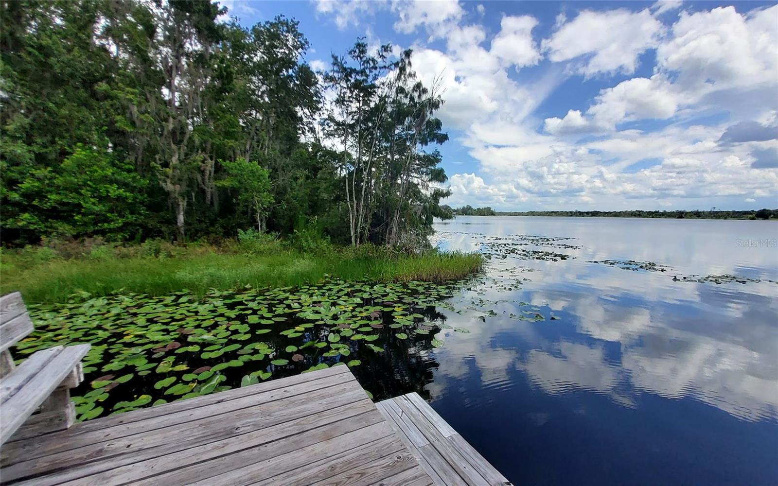 LAKE & FOREST CLUB - Land