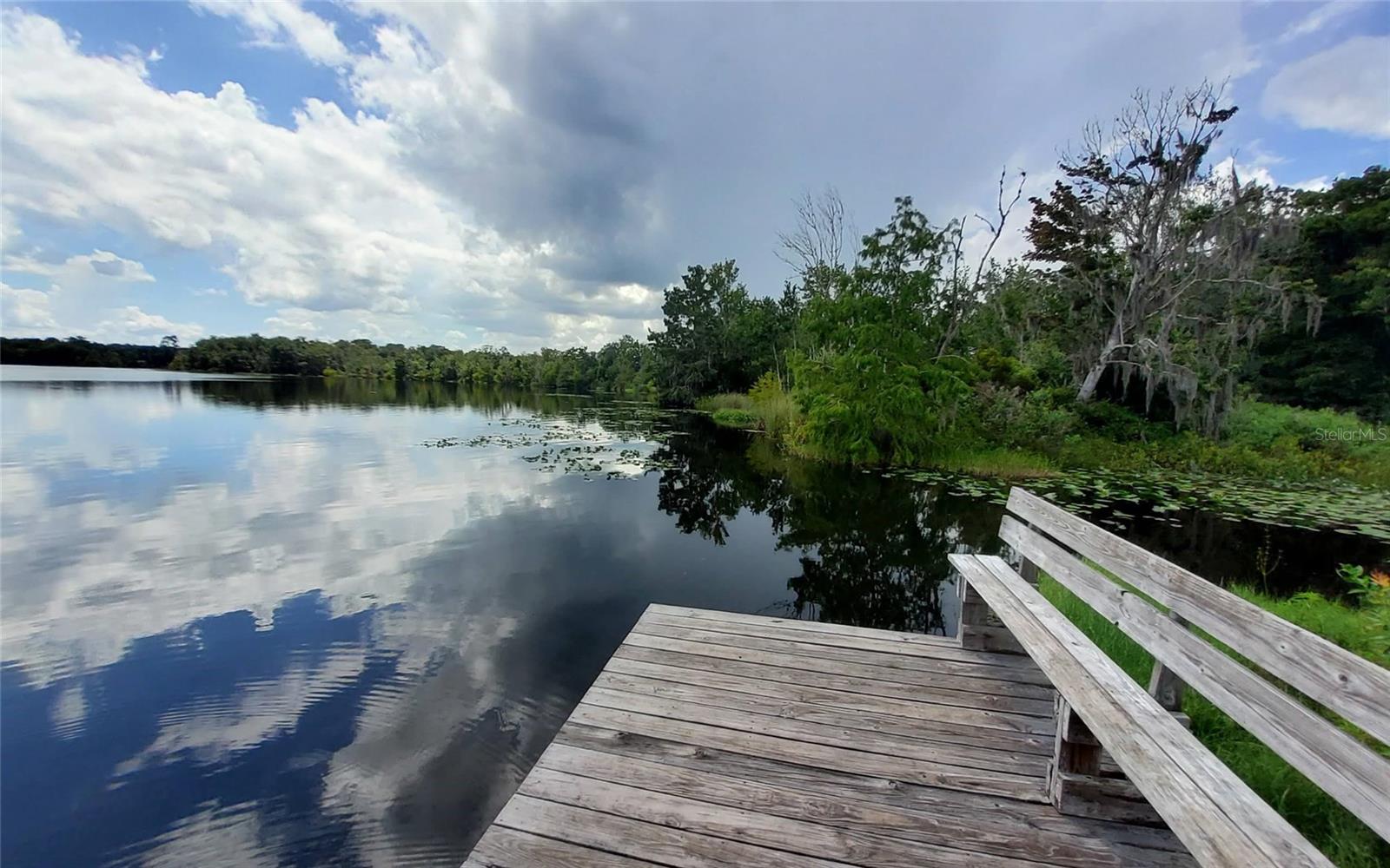 LAKE & FOREST CLUB - Land