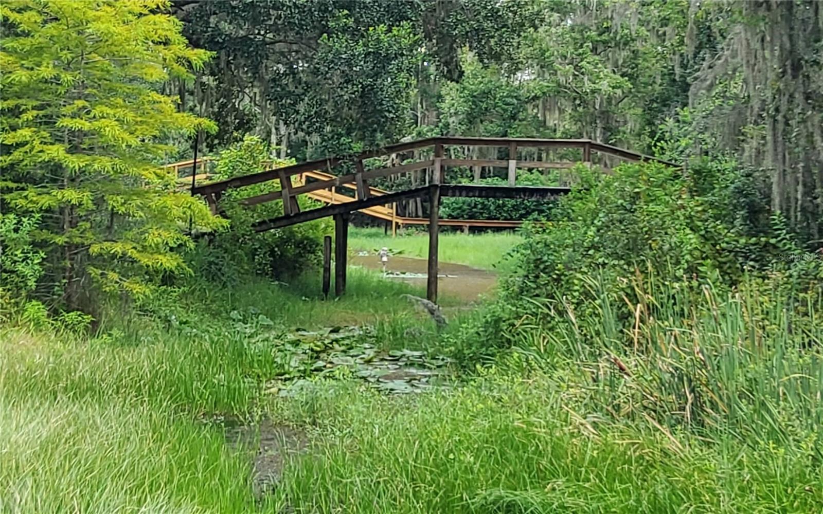 LAKE & FOREST CLUB - Land