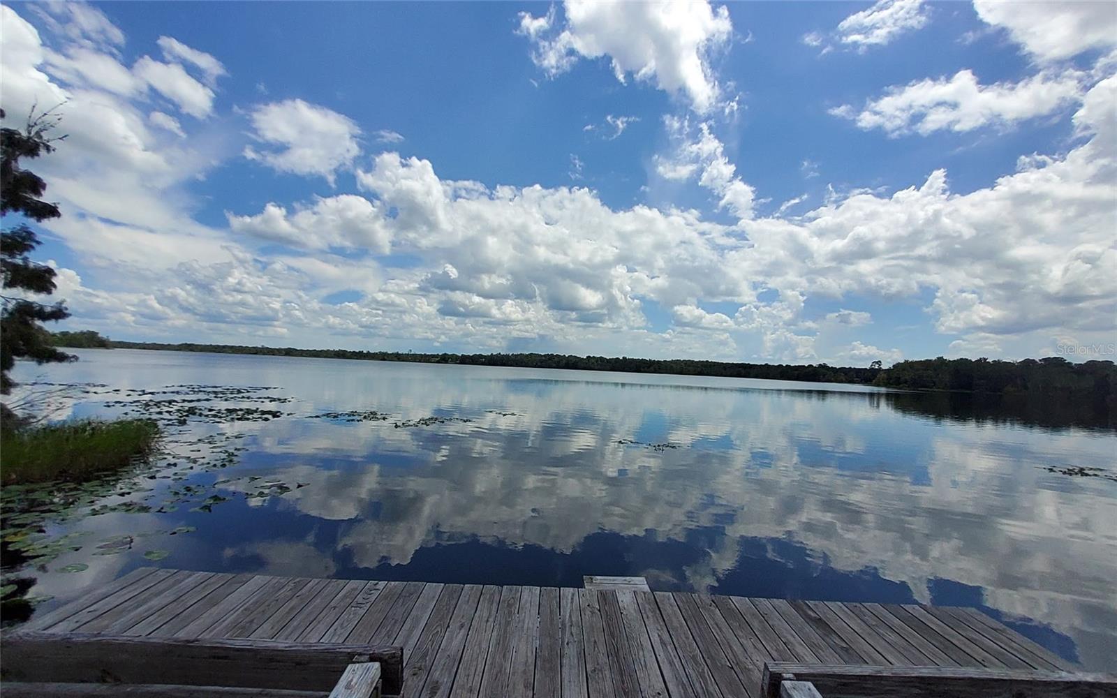 LAKE & FOREST CLUB - Land