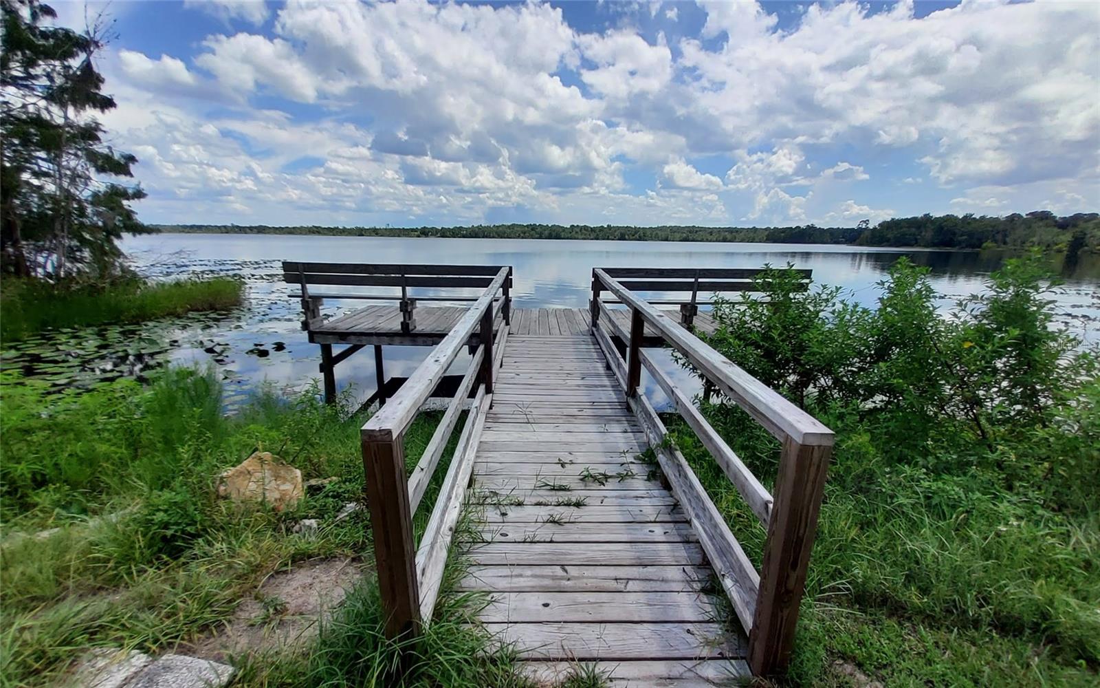 LAKE & FOREST CLUB - Land