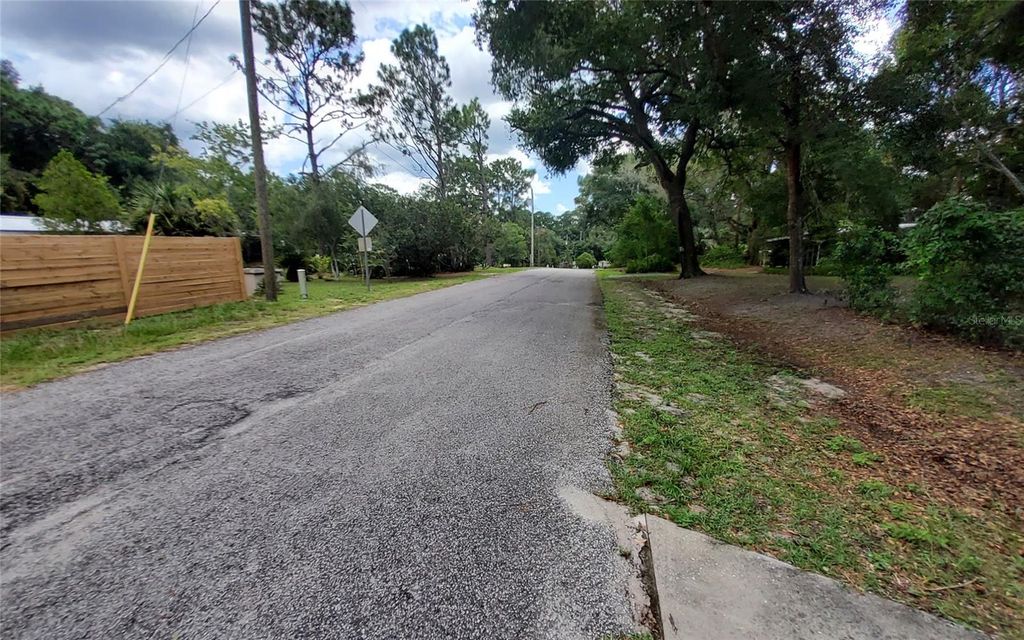 Photo of 16067 SE 13th Street, Ocklawaha, FL 32179 (MLS # O6337907)