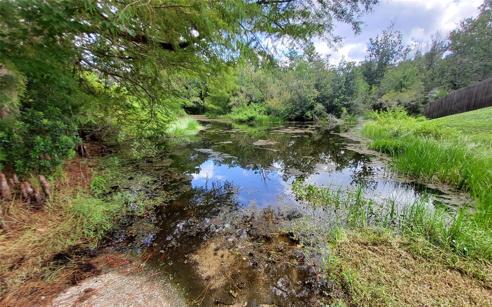 LAKE & FOREST CLUB - Land