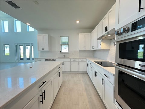 Tiny photo for 2193 Gold Dust Drive, Minneola, FL 34715 (MLS # O6418553)