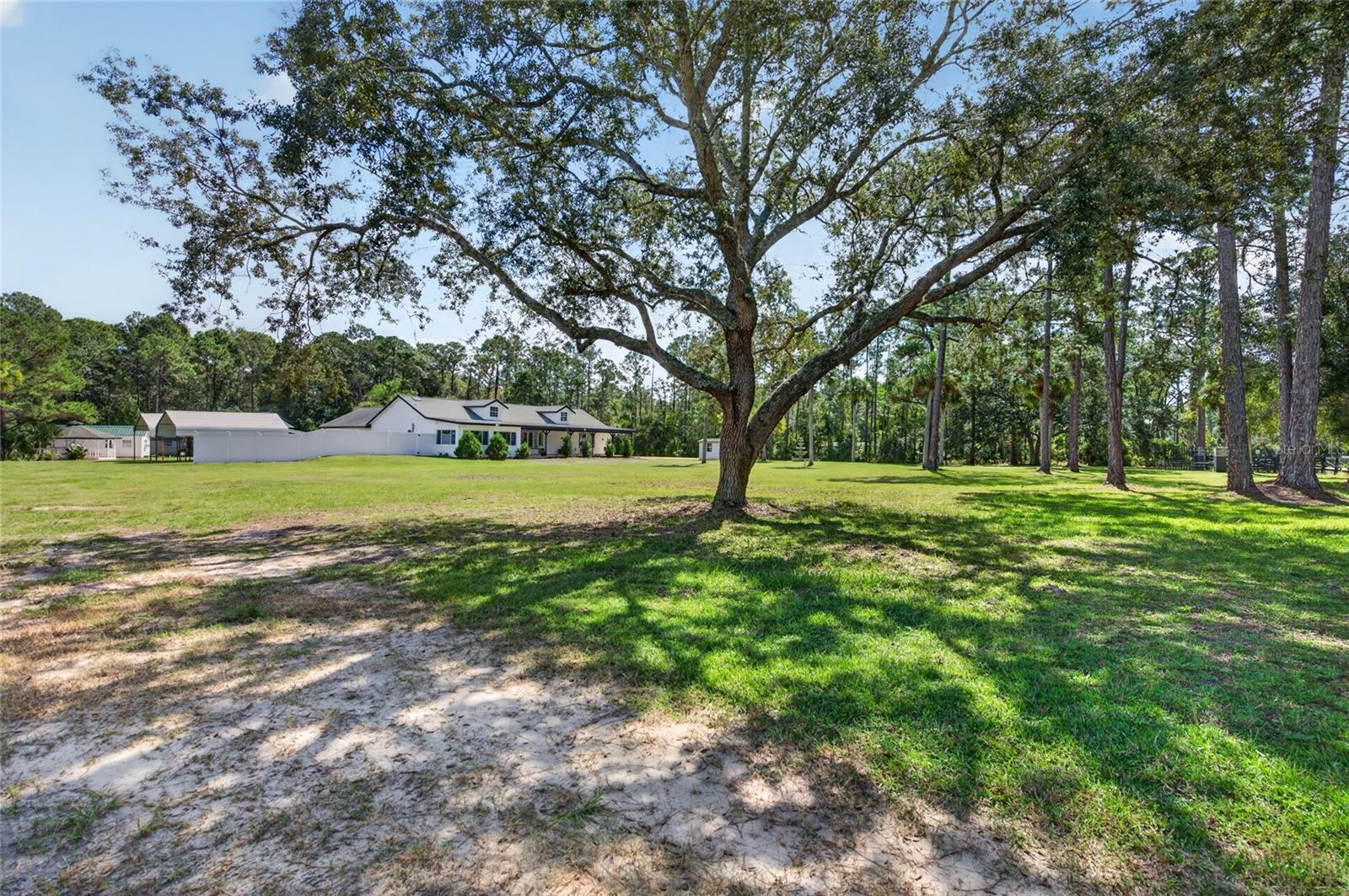 121 CONE ROAD