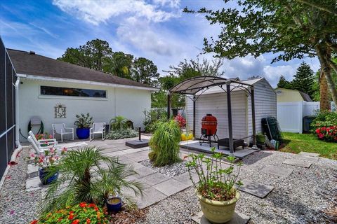 A home in PALM COAST