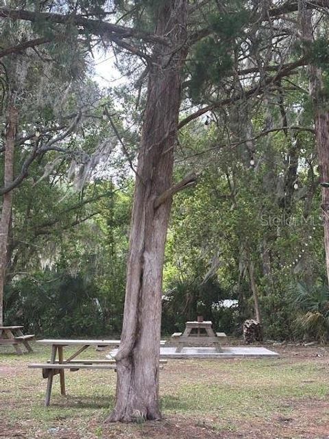 Tiny photo for 11471 E Highway 316, Fort Mccoy, FL 32134 (MLS # OM722501)