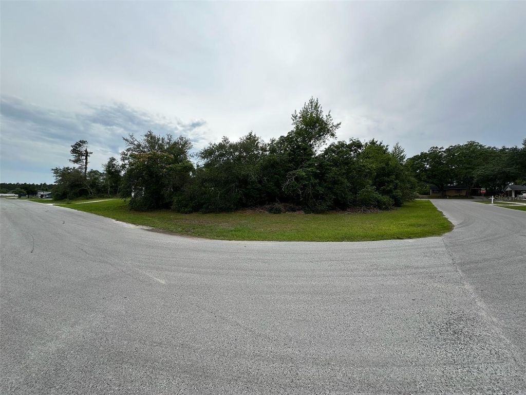 Photo of SW 38th Circle, Ocala, FL 34473 (MLS # O6364847)