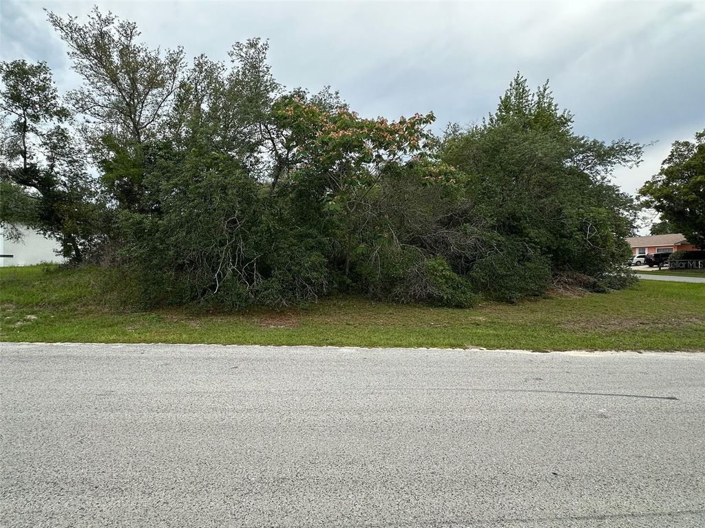Photo of SW 38th Circle, Ocala, FL 34473 (MLS # O6364847)