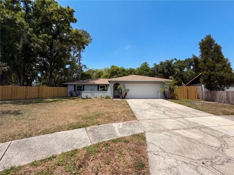 Photo of 13804 Candidate Place, Tampa, FL 33613 (MLS # O6403339)