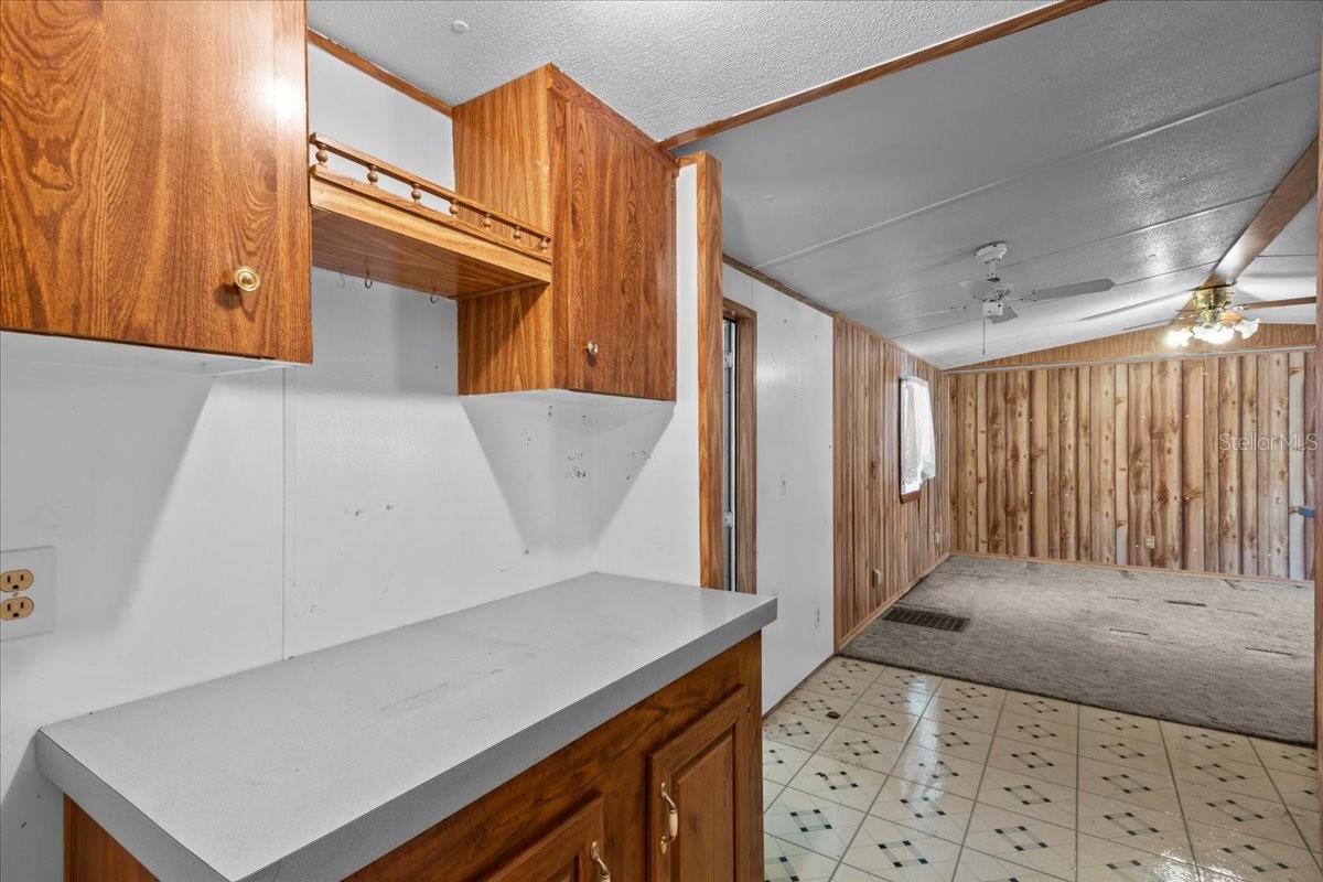 LAKE JOHNSON ESTATE - Residential