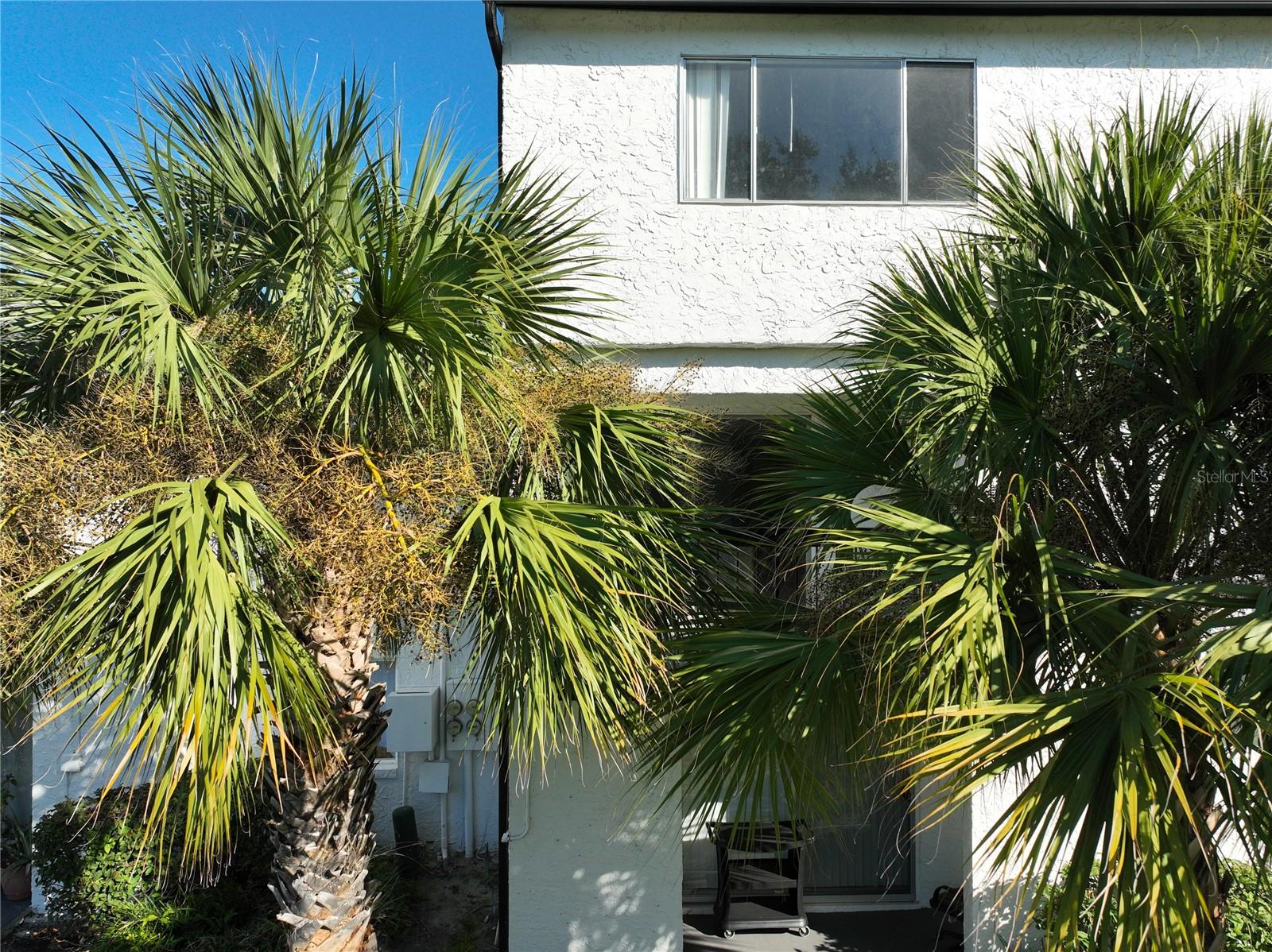 AVALON - Residential