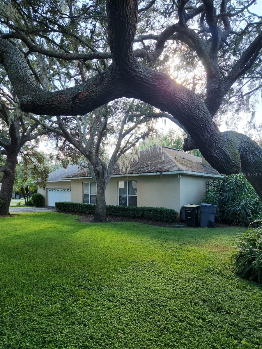 SPRING PINES SUB - Residential