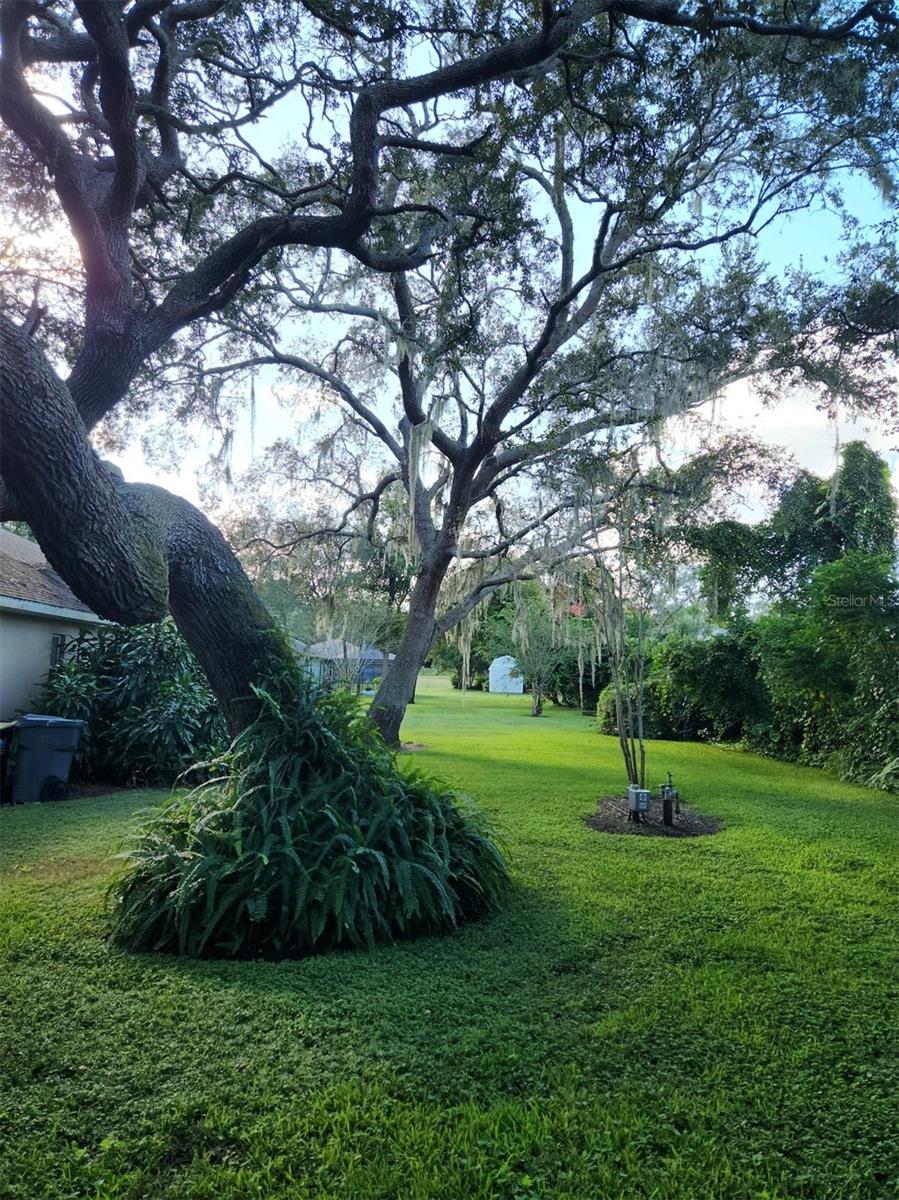 SPRING PINES SUB - Residential