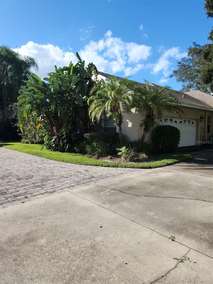 SPRING PINES SUB - Residential