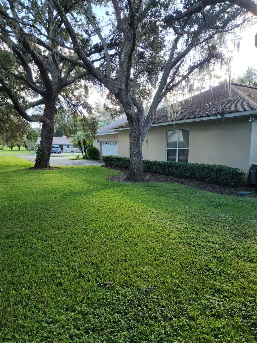 SPRING PINES SUB - Residential