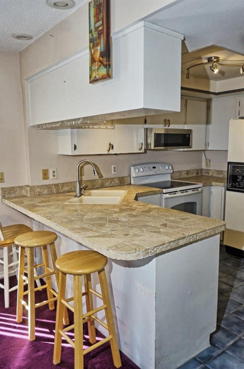 PARADISE LAKES CONDO - Residential