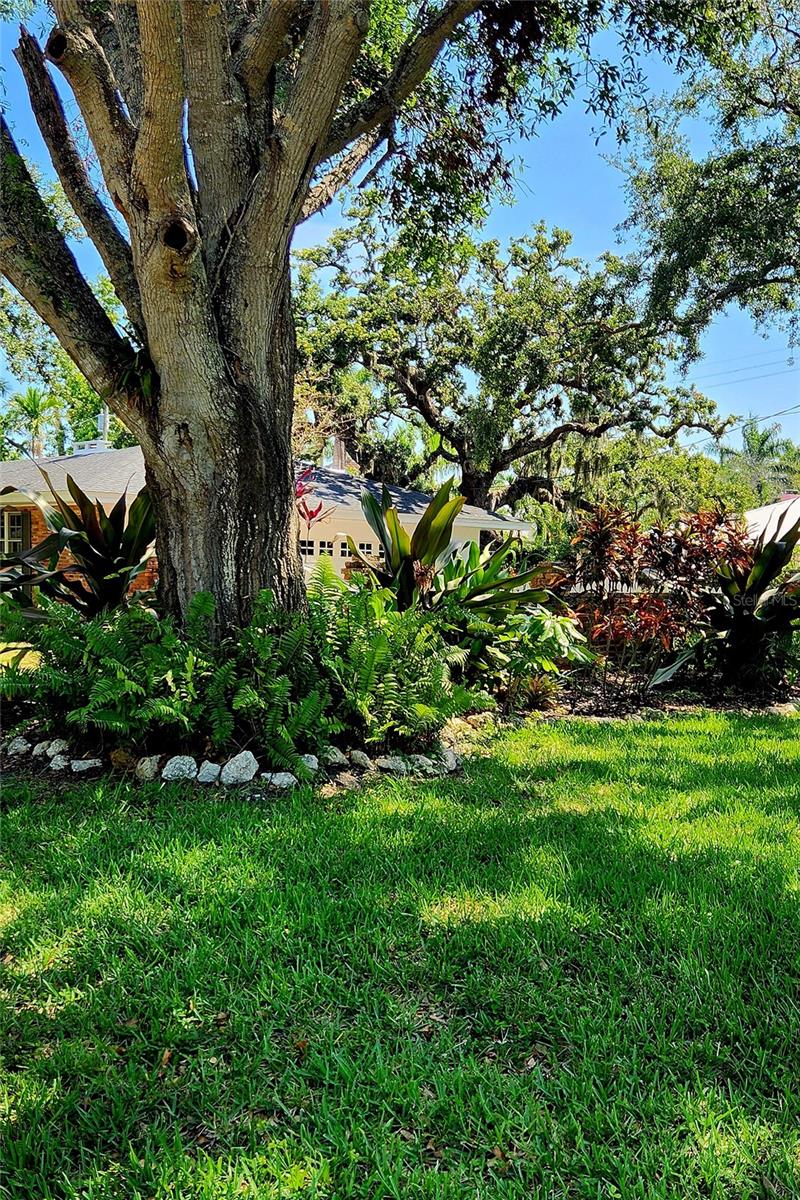 219 24TH STREET W