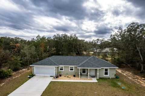 Photo of 96 Fisher Way Trail, Ocklawaha, FL 32179 (MLS # G5106636)