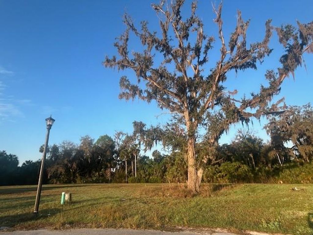 Photo of 192 Rosa Bella View, Debary, FL 32713 (MLS # V4945441)