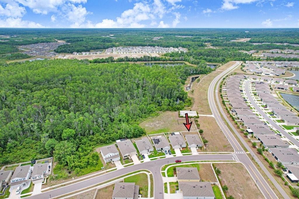 CYPRESS PRESERVE PH 2B 1 & 2B - Residential