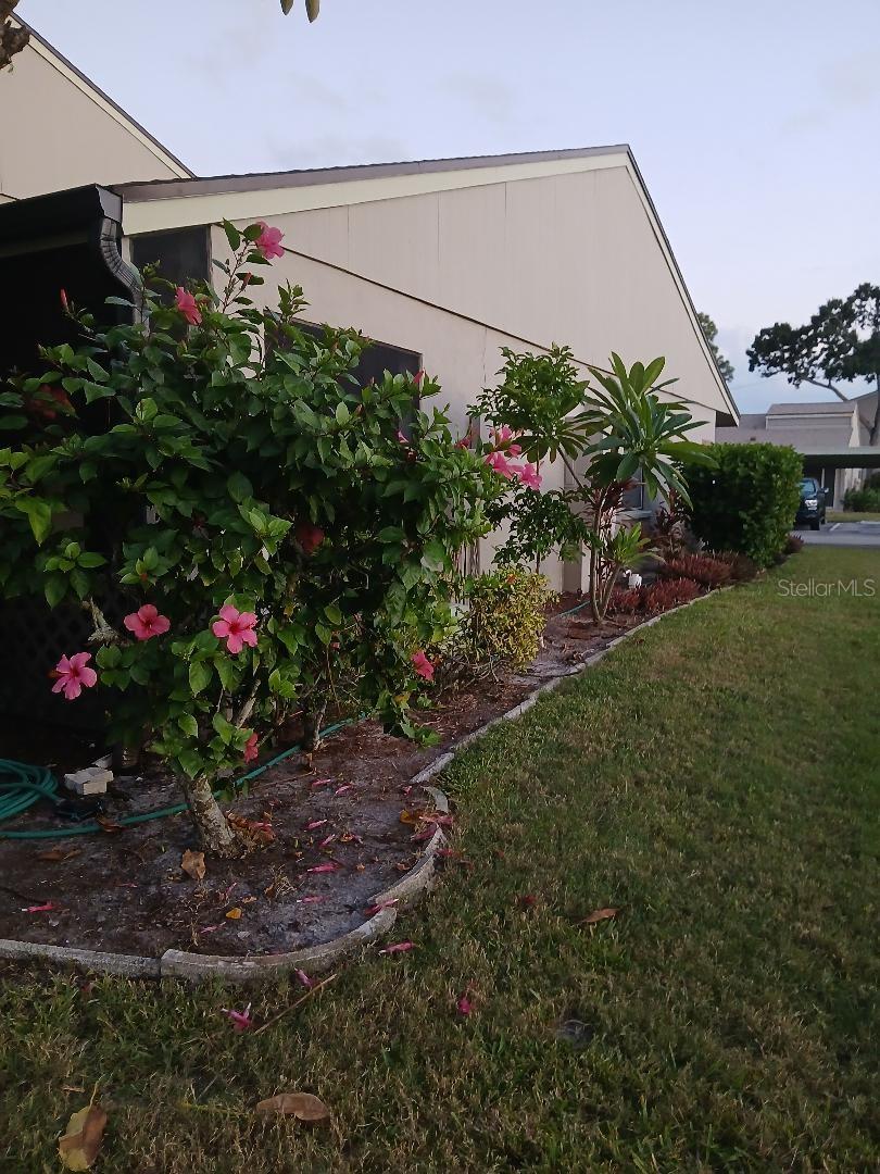 SUMMERSIDE - Residential Lease