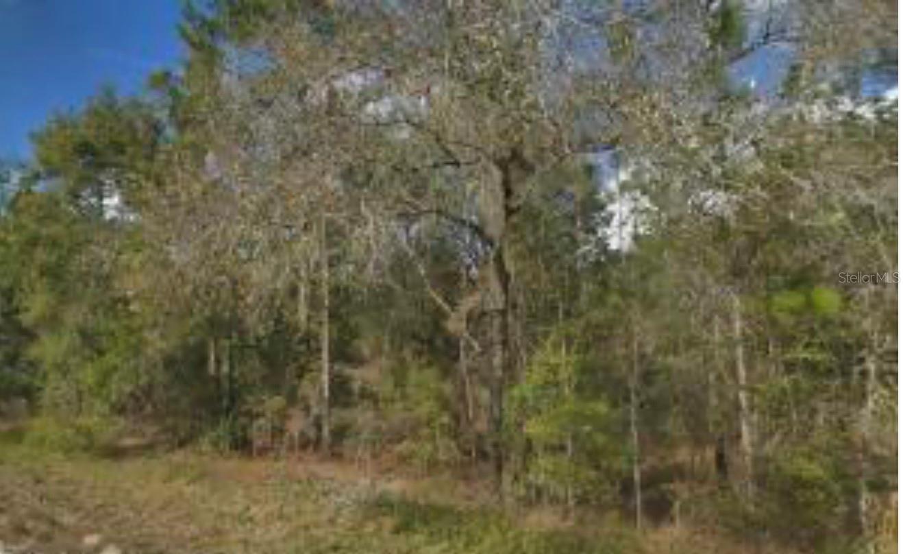 QUAIL MEADOWS PH 1 - Land