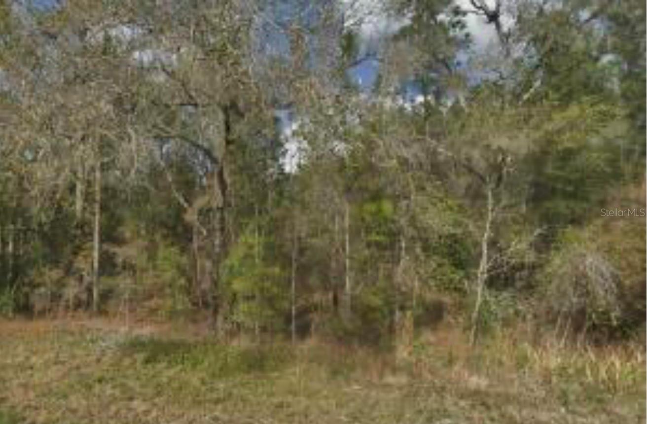QUAIL MEADOWS PH 1 - Land