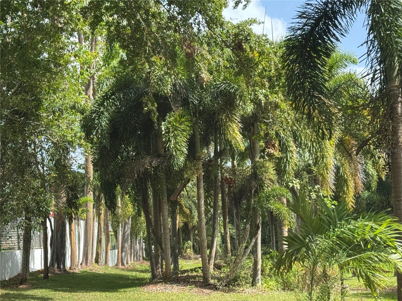 ESTANCIAS DE BEATRIZ DEV. BEATRIZ WARD - Residential