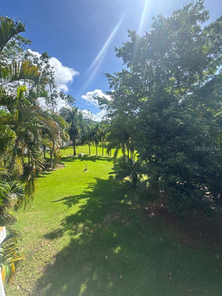 ESTANCIAS DE BEATRIZ DEV. BEATRIZ WARD - Residential