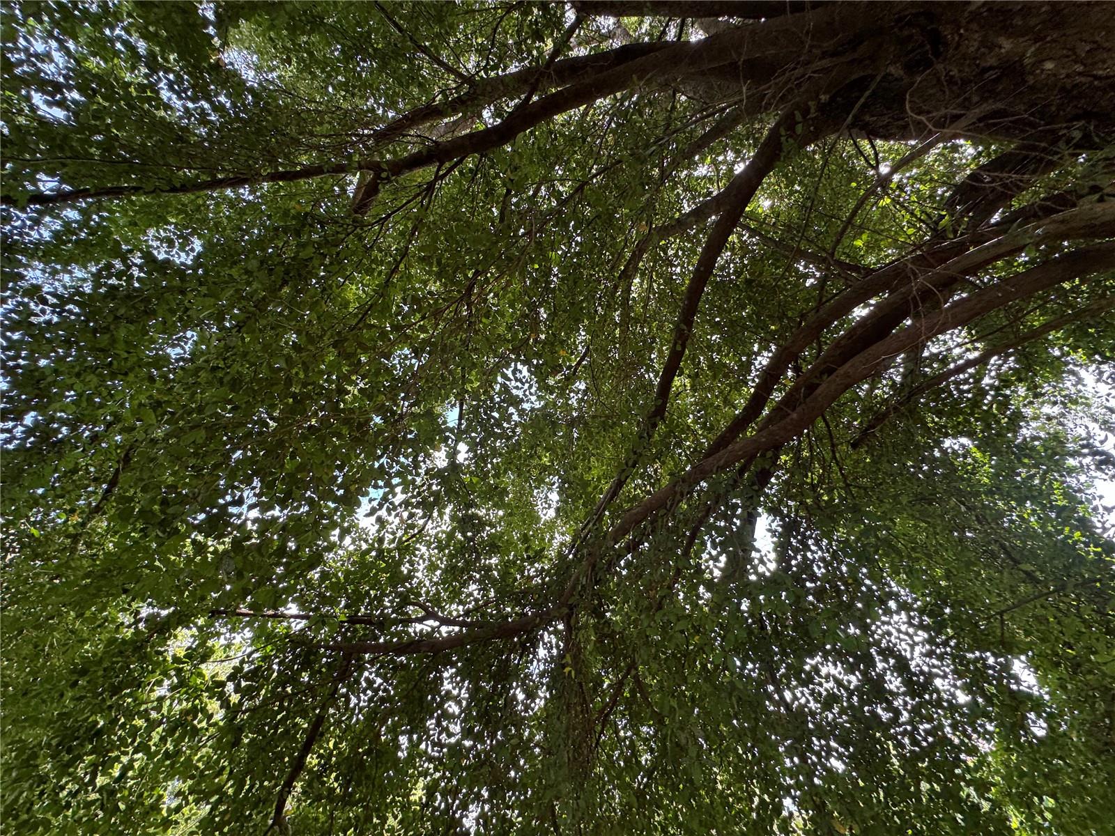 ESTANCIAS DE BEATRIZ DEV. BEATRIZ WARD - Residential