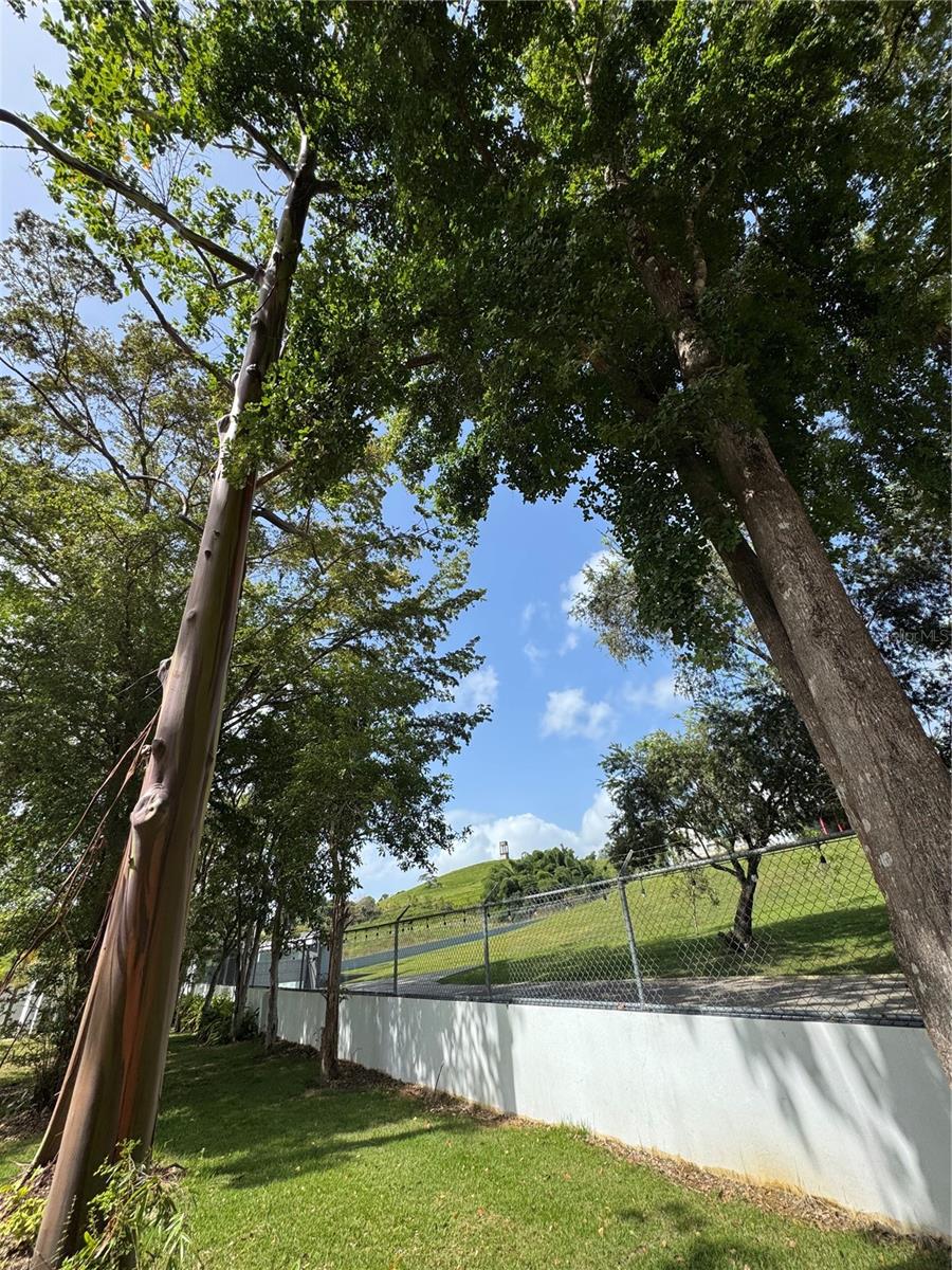 ESTANCIAS DE BEATRIZ DEV. BEATRIZ WARD - Residential