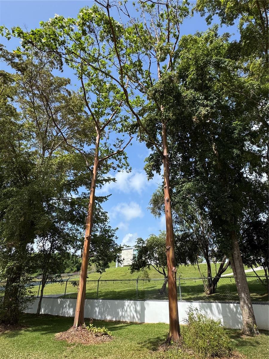 ESTANCIAS DE BEATRIZ DEV. BEATRIZ WARD - Residential