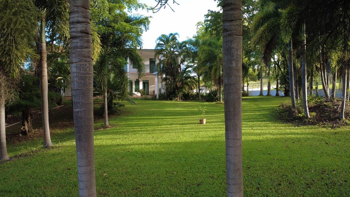 ESTANCIAS DE BEATRIZ DEV. BEATRIZ WARD - Residential