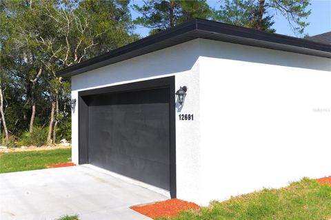 A home in OCALA